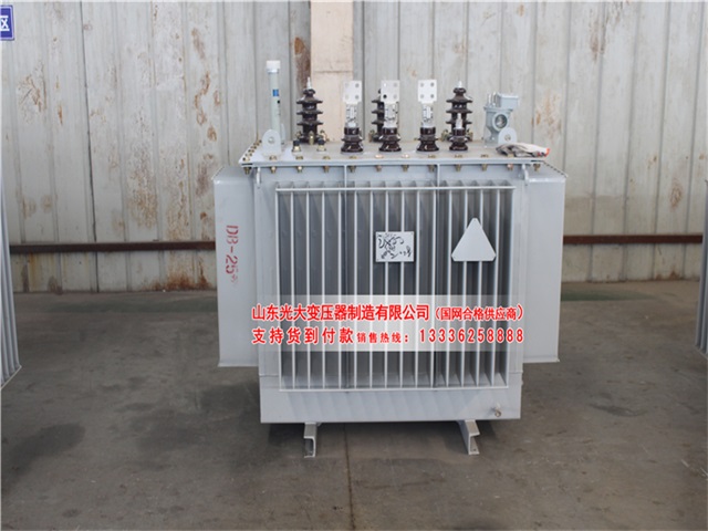 新密新密新密新密油浸式变压器